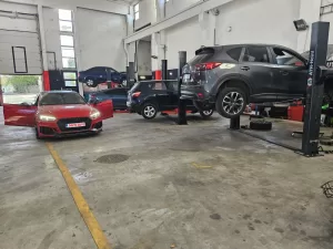 groupama daune, groupama daune online, asirom daune, generali daune, daune groupama, daune asirom, dauna asirom, omniasig dauna, allianztiriac daune, grawe daune, call center groupama daune, asirom call center, service allianz, avizare dauna groupama, centru daune groupama, daune grawe, asirom daune auto, call center generali daune, centru daune grawe, centru daune omniasig, call center daune grawe, groupama constatare daune, constatare groupama, constatari daune groupama, centru daune asirom, avizare dauna allianz, call center allianz tiriac, notificare dauna allianz, constatare amiabila online, constatari groupama, notificare dauna omniasig, constatari asirom, avizare dauna grawe, dauna allianz, constatari daune grawe, groupama avizare dauna, allianz tiriac daune contact, allianz tiriac daune auto, daune groupama online grawe constatari daune, constatare asirom, generali constatare daune, constatare daune asirom, dauna groupama, constatare daune, constatari daune asirom, constatare daune grawe, dauna omniasig, daune auto, constatare dauna asirom, allianz call center, constatare generali, generali daune casco, avizare dauna asirom, notificare dauna asirom, despagubire allianz tiriac, avizare daune omniasig, notificare dauna groupama, centru daune, uniqa daune, constatare dauna, constatari daune auto, avizari daune groupama, centru de daune, asigurari tiriac auto, allianz tiriac casco, notificare daune allianz, cerere despagubire groupama, constatator daune auto, centru constatare daune, avizari daune omniasig, centru daune auto, allianz constatari, groupama avizare daune, avizari daune allianz, cerere despagubire asirom, avizari daune asirom